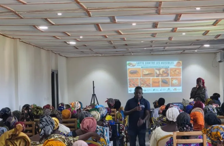 Formation des membres dirigeants des coopératives